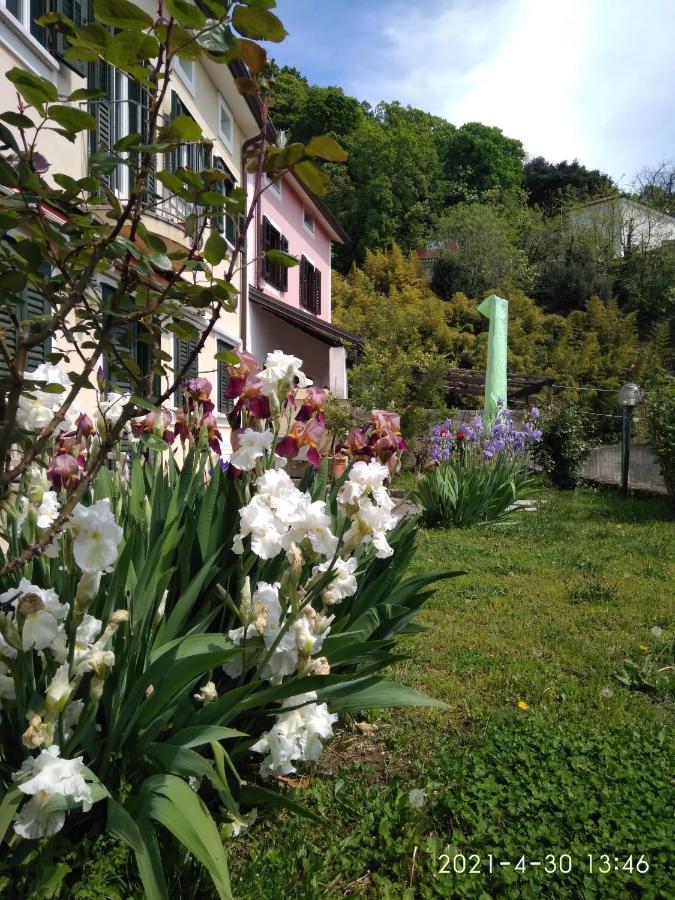 Bed and Breakfast Alle Rose Barcolane Triest Zewnętrze zdjęcie